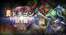 クエスト-真ドラゴンの試練.png