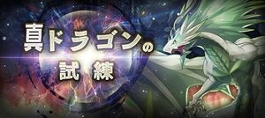 クエスト-真ドラゴンの試練-ミド単体.jpeg